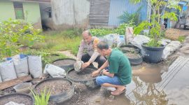 AIPDA Anwar Dedi Cek Kebun Cabai Warga di Kelurahan Laksamana