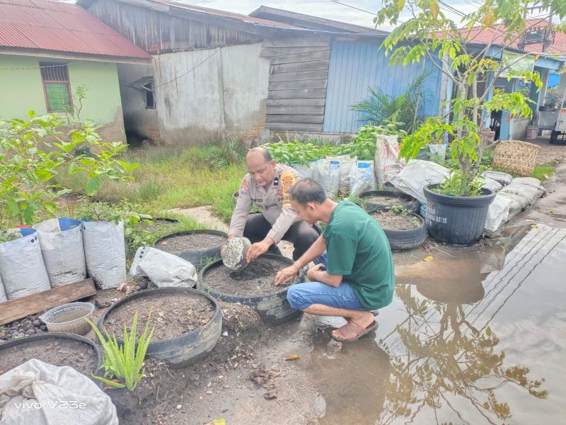 AIPDA Anwar Dedi Cek Kebun Cabai Warga di Kelurahan Laksamana